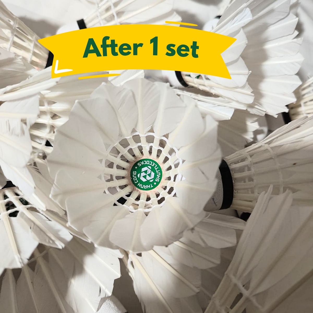 BWF Standard Badminton Shuttlecocks | Thanh Cong 77 - Tube of 12 | AU Stock | Made in Vietnam