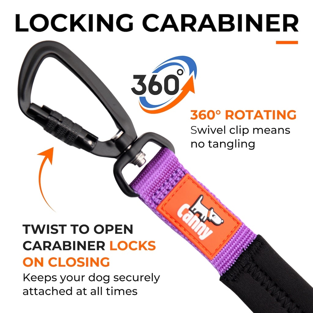 Canny CONNECT Lockable Lead