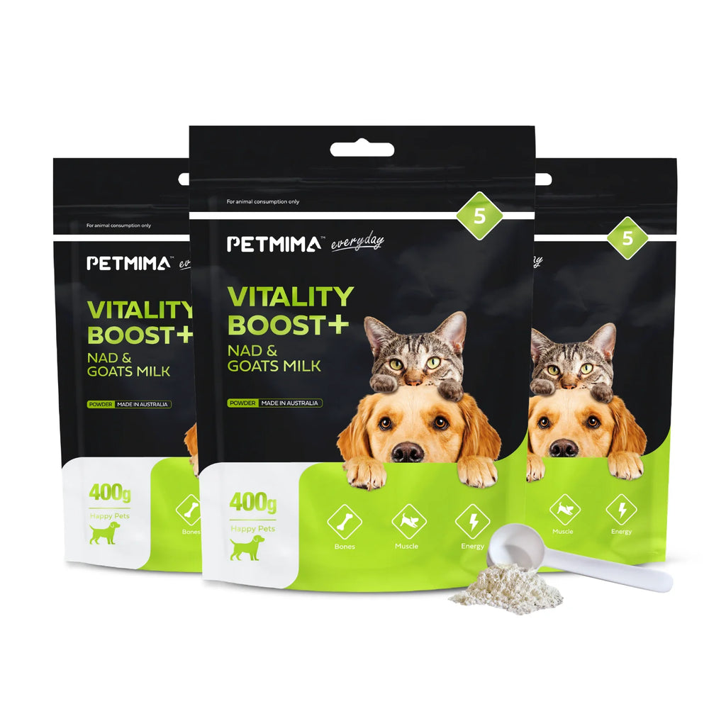 Homart Petmima | Vitality Boost Powder for Dogs & Cats - 250g