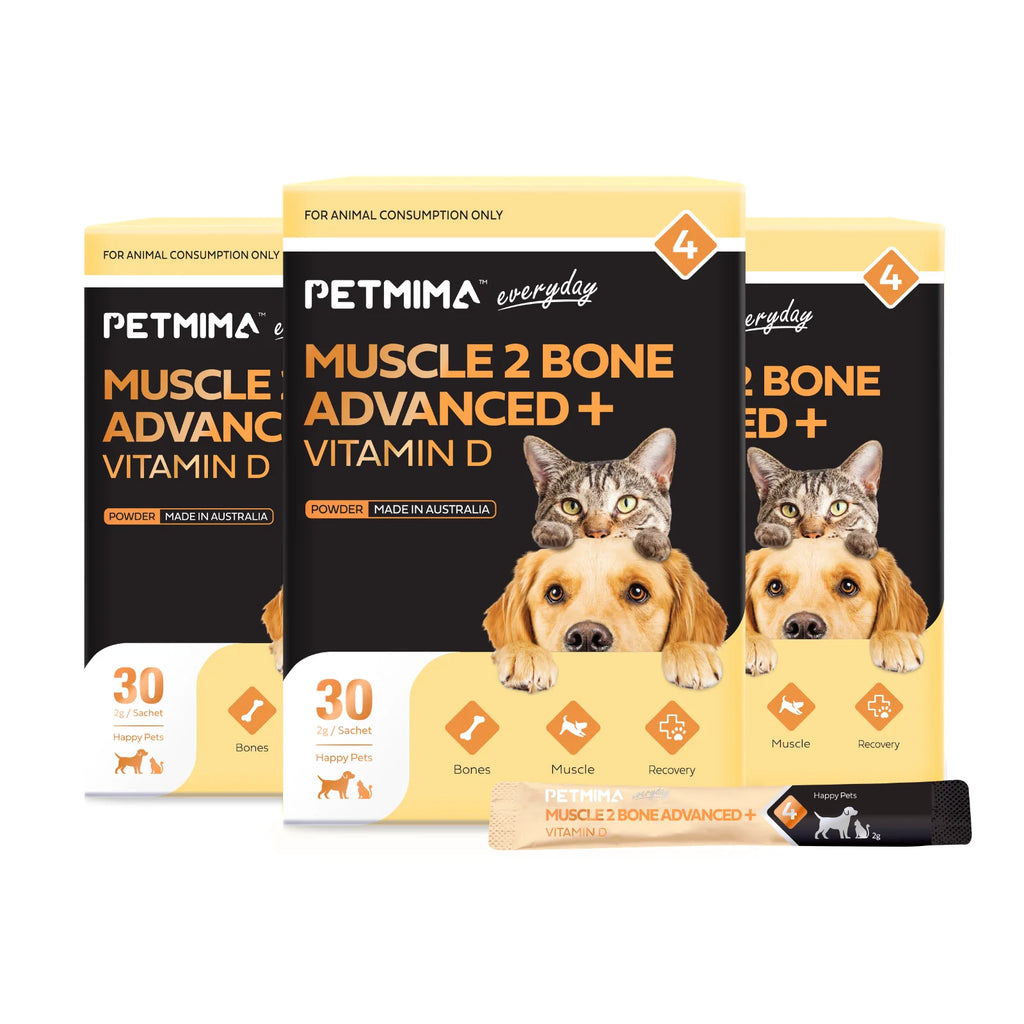 Homart Petmima Muscle 2 Bone + Vitamin D | Joint Care for Pets
