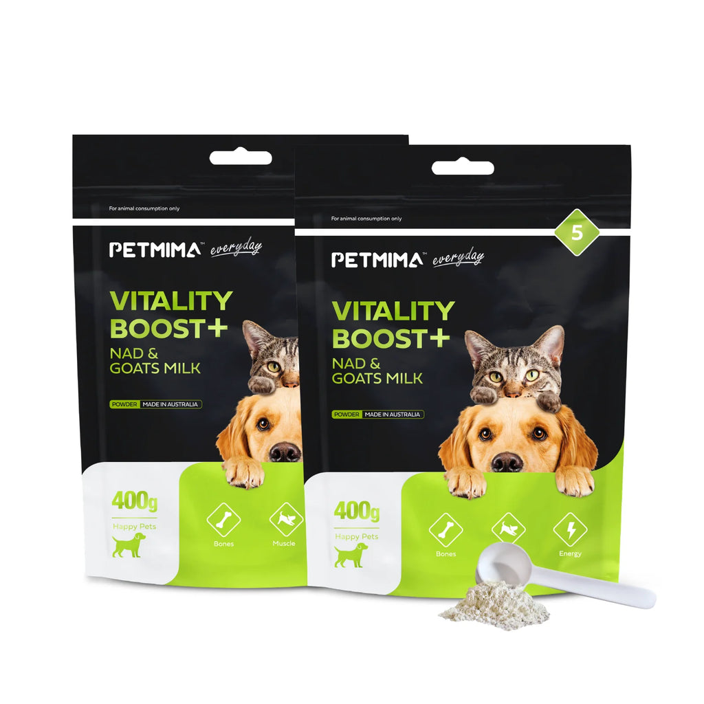 Homart Petmima | Vitality Boost Powder for Dogs & Cats - 250g