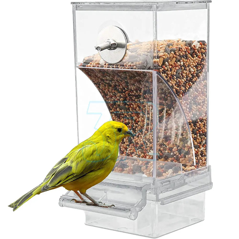 No Mess Automatic Bird Feeder for Parrots & Canaries - Easy Clean Design
