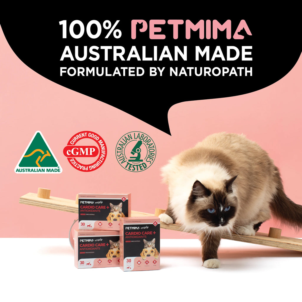 Petmima Cardio Support for Dogs & Cats - Heart Health + Antioxidants