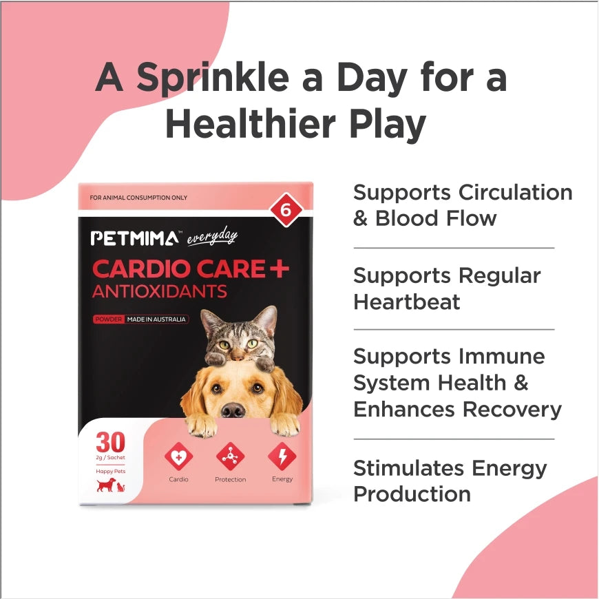 Homart Petmima Care+ Antioxidants for Heart Health - 30 Sachets