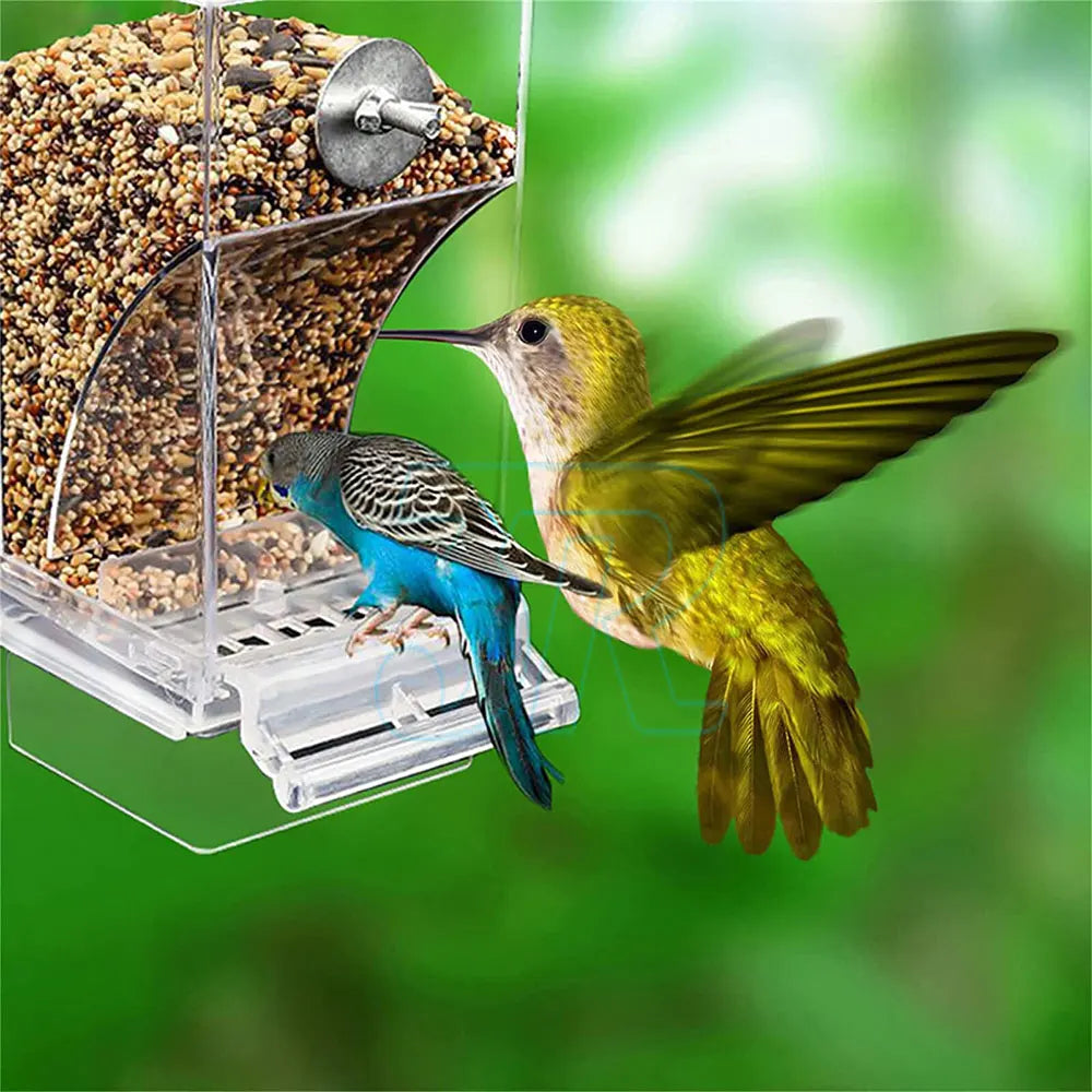 No Mess Automatic Bird Feeder for Parrots & Canaries - Easy Clean Design