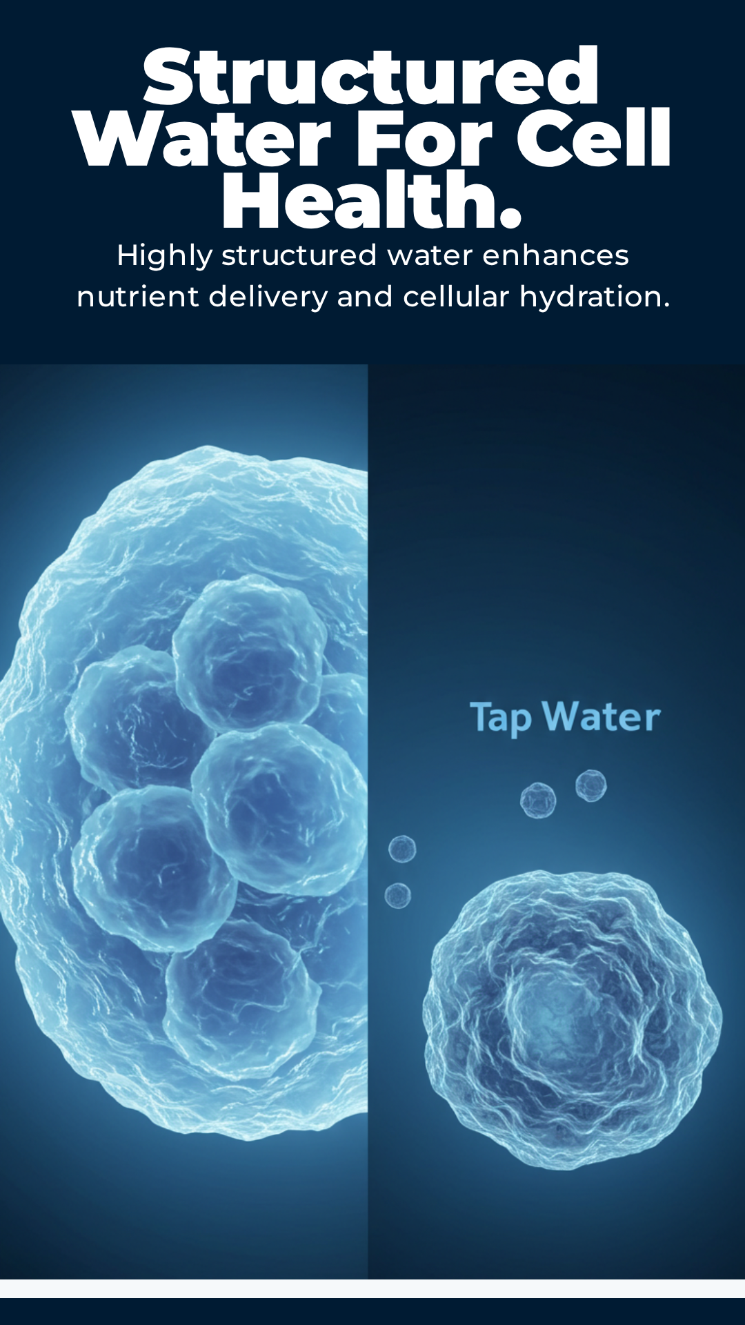 Aquarius Quantum Vortex Water Structuring Device for Premium Hydration