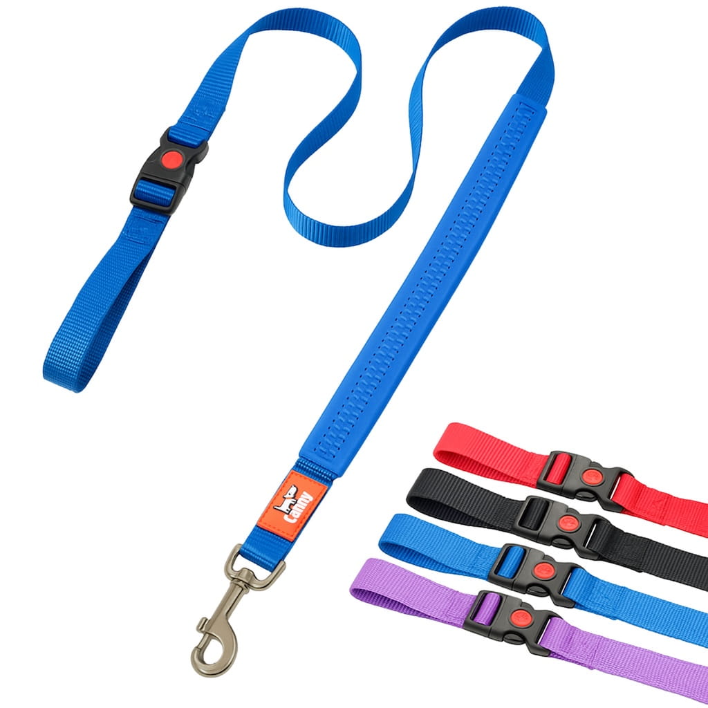 Canny CONNECT Training Lead - Durable PVC Handle Design