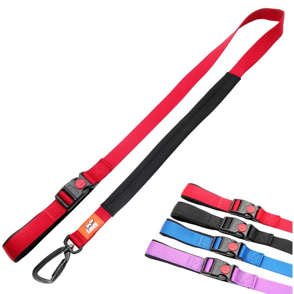 Canny CONNECT Lockable Lead