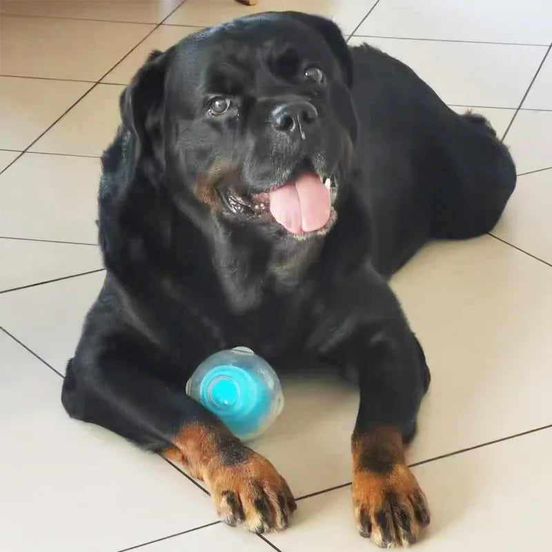 CAITEC Durable Squeaker Dog Ball - Floatable & Treat-Stuffing Fun