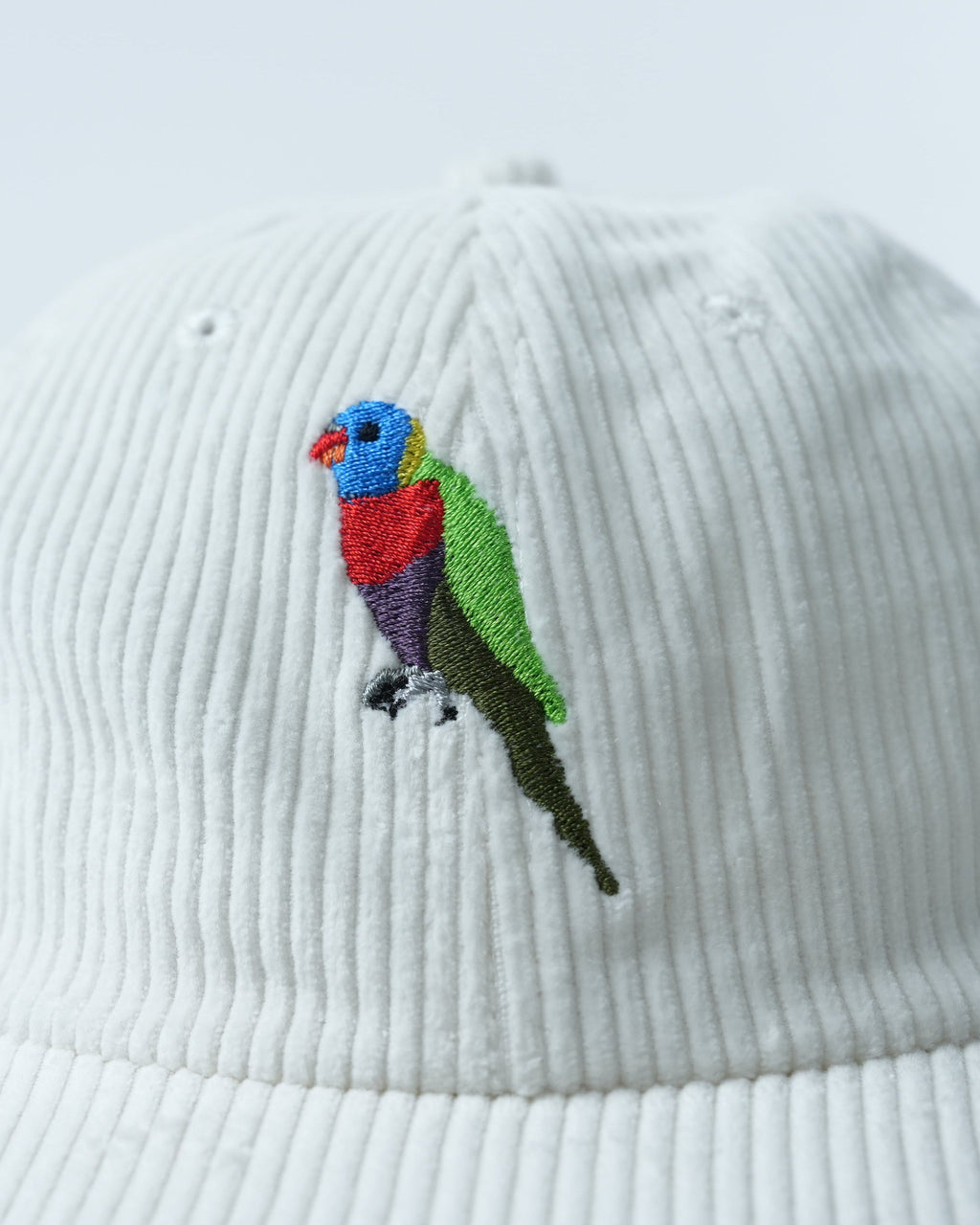 Vibrant Rainbow Lorikeet Cap - Retro 70's Style