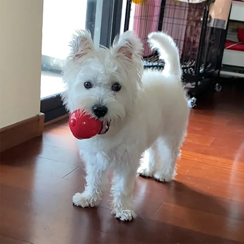 CAITEC Durable Squeaker Dog Ball - Floatable & Treat-Stuffing Fun