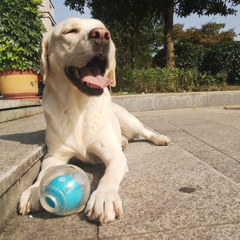 CAITEC Durable Squeaker Dog Ball - Floatable & Treat-Stuffing Fun
