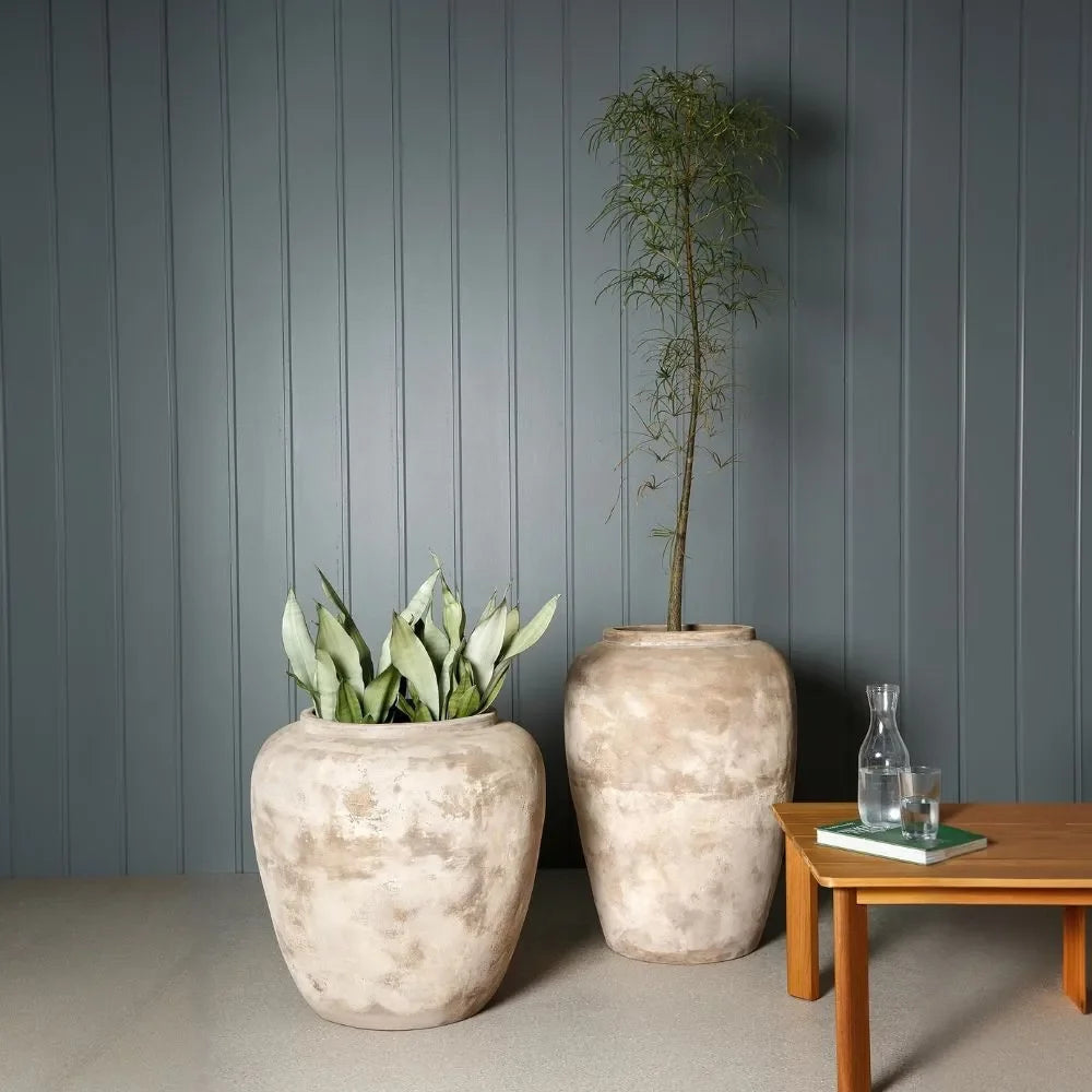 Olive Jar