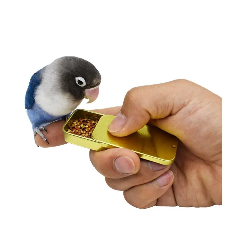 Interactive Bird Training Food Jar | Parrot Handheld Feeder Toy