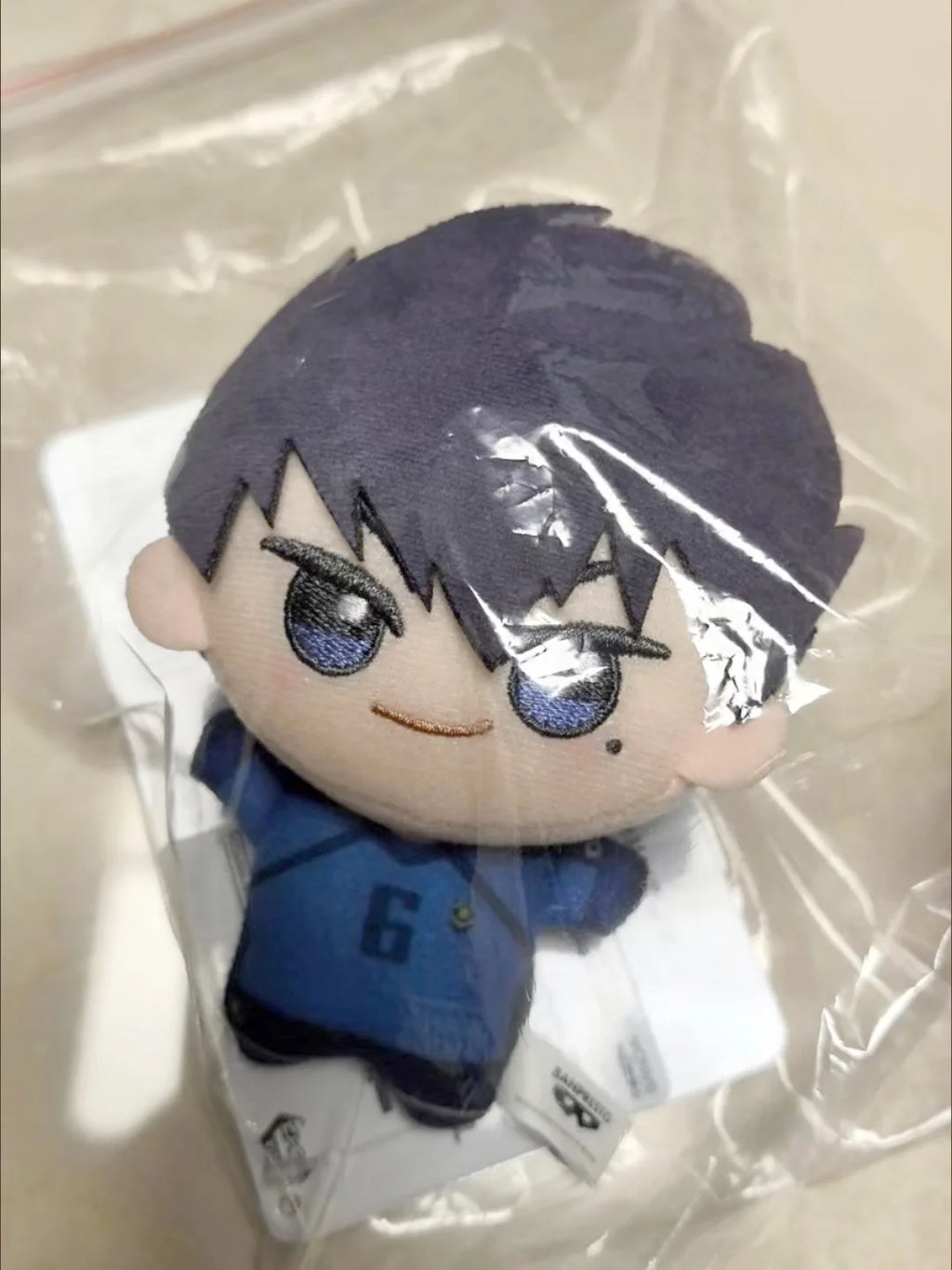 Blue Lock Hiori You Isagi Yoichi Cosplay Plush Doll & Keychain Charm