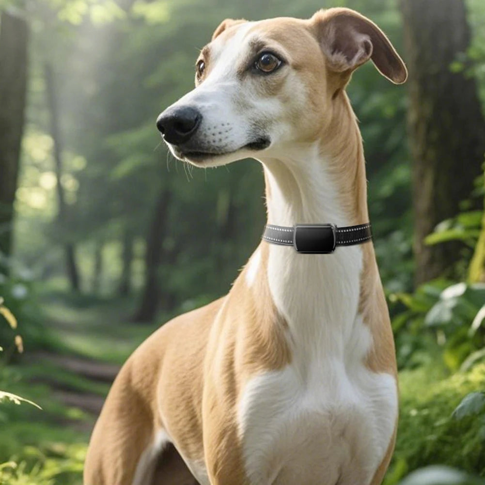 Smart Pet GPS Tracker with Adjustable Collar for Dogs & Cats