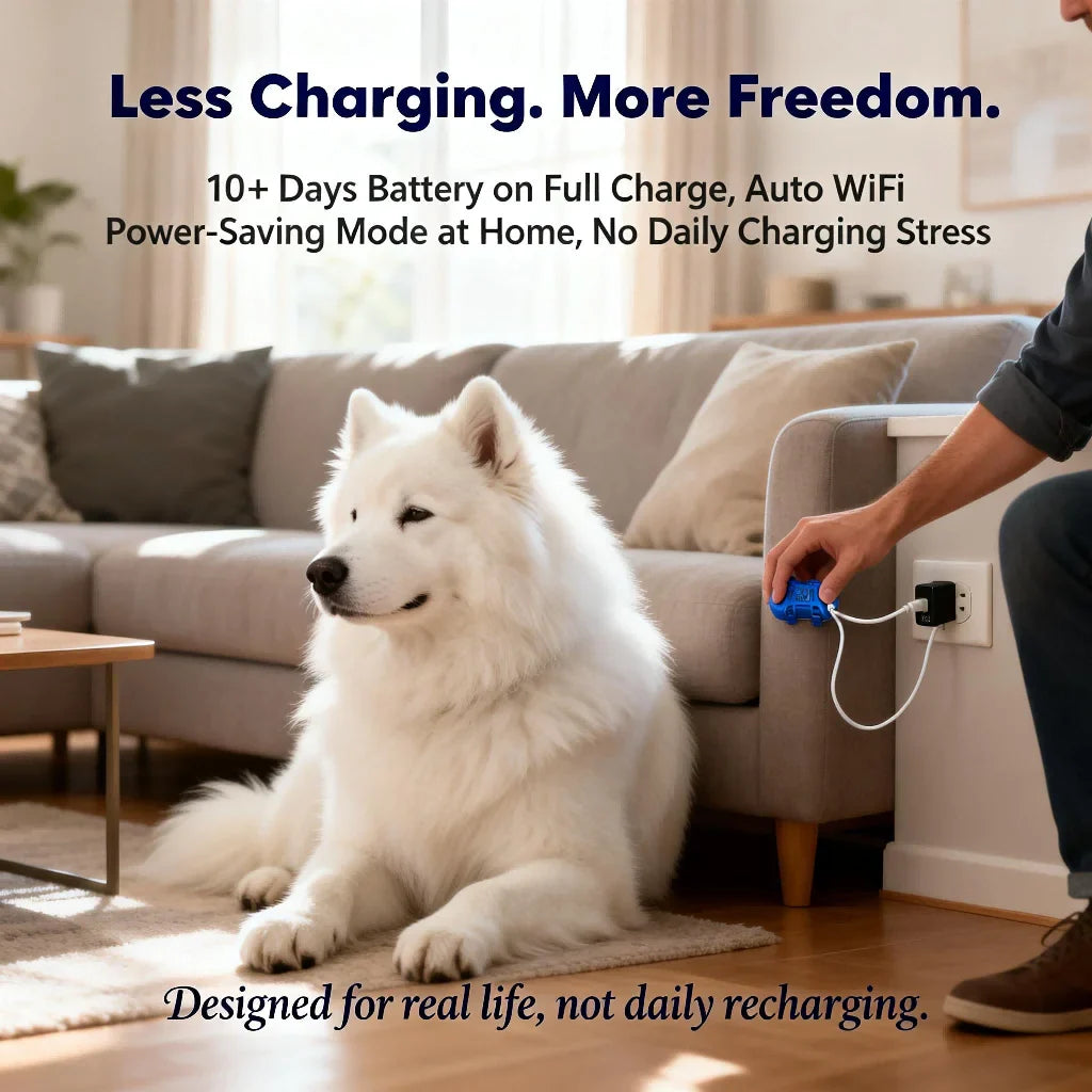 Real-Time GPS Pet Tracker – Unlimited Distance Locator for Pets