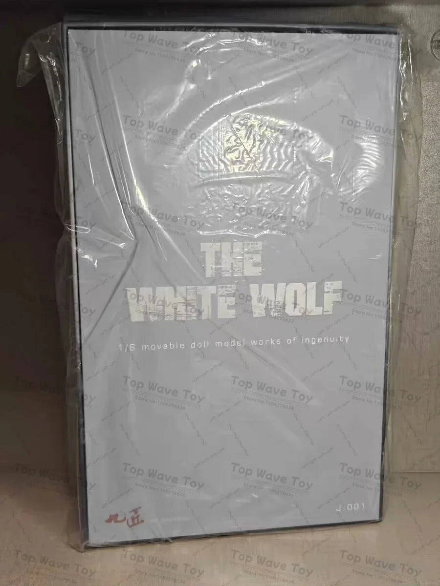 Nine Craftsmen J-001 Geralt Action Figure - 12" Collector's Toy