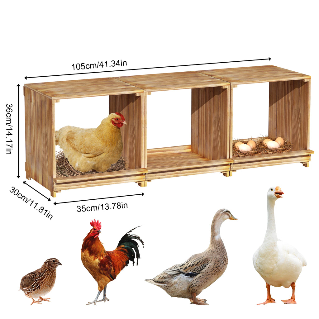 3-Compartment Wooden Nesting Box for Chickens & Ducks - Durable & Flexible