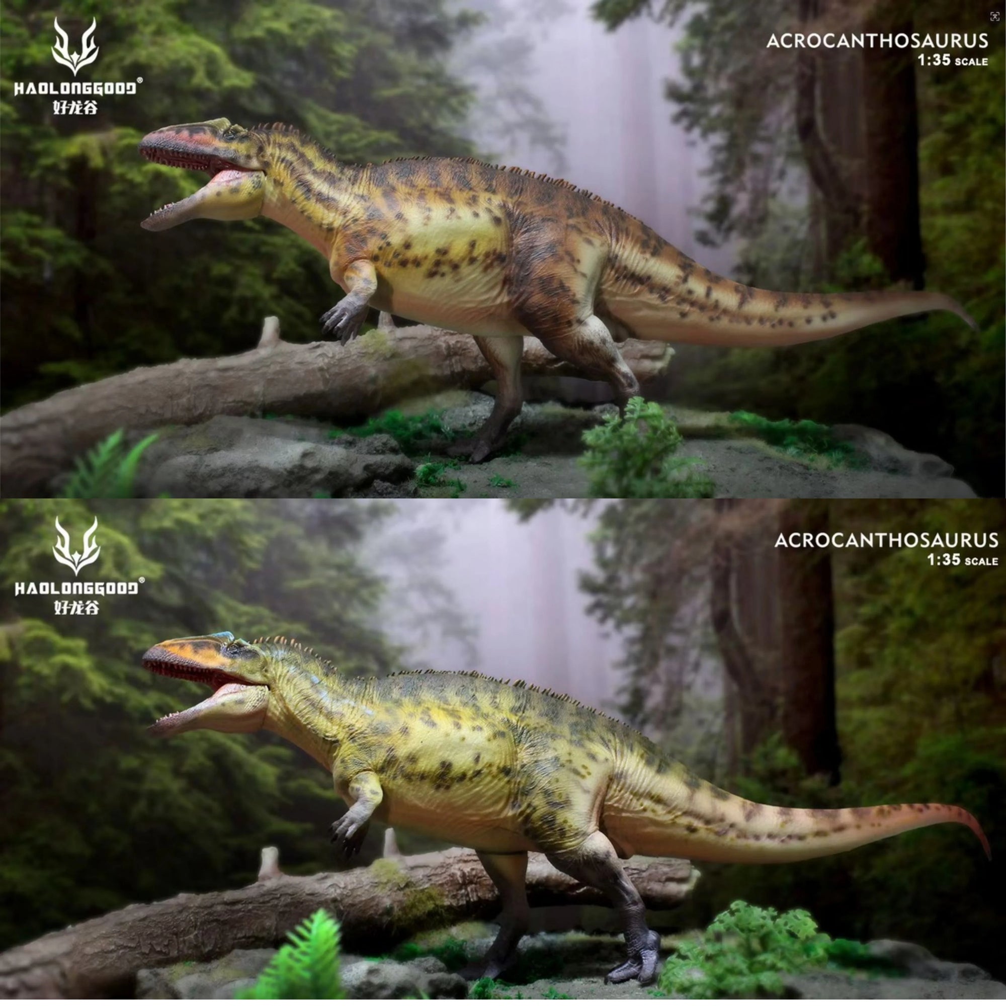 HaoLongGood Acrocanthosaurus Dinosaur Model - 1/35 Collectible Figure