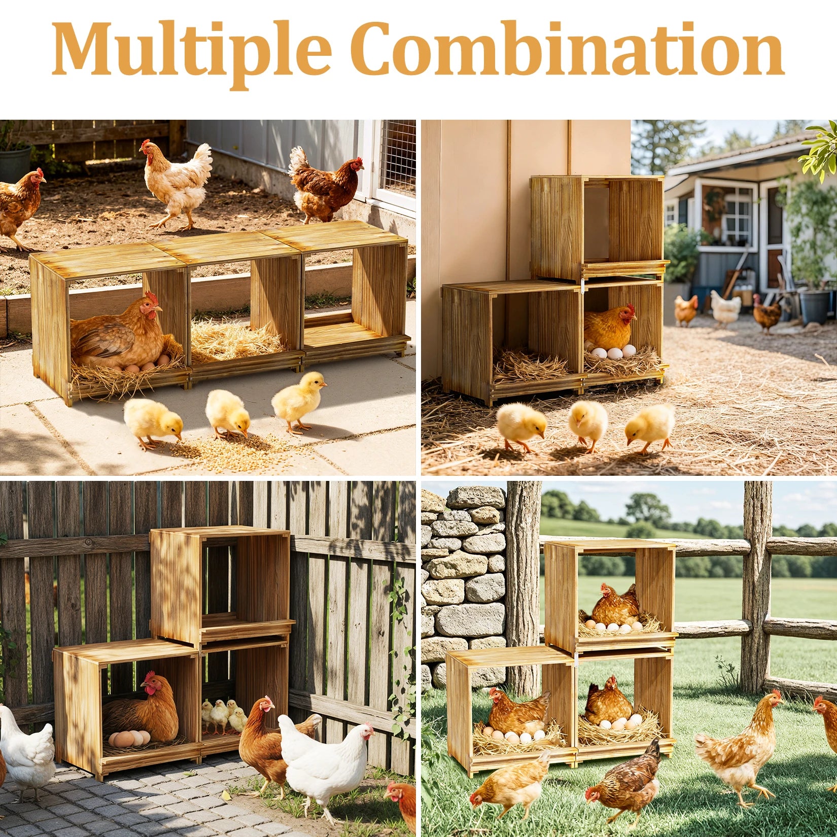 3-Compartment Wooden Nesting Box for Chickens & Ducks - Durable & Flexible