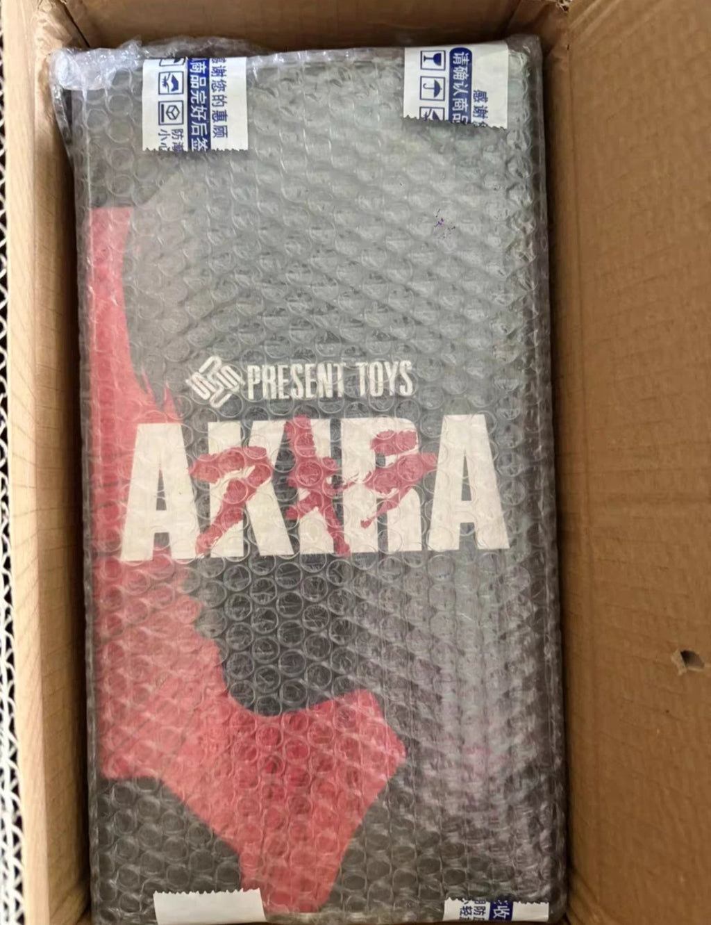 2025 Akira Motorcycle Boy Action Figure 1/6 Scale Collectible Set