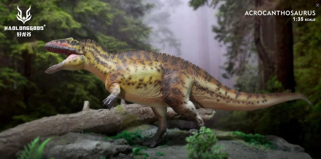 HaoLongGood Acrocanthosaurus Dinosaur Model - 1/35 Collectible Figure