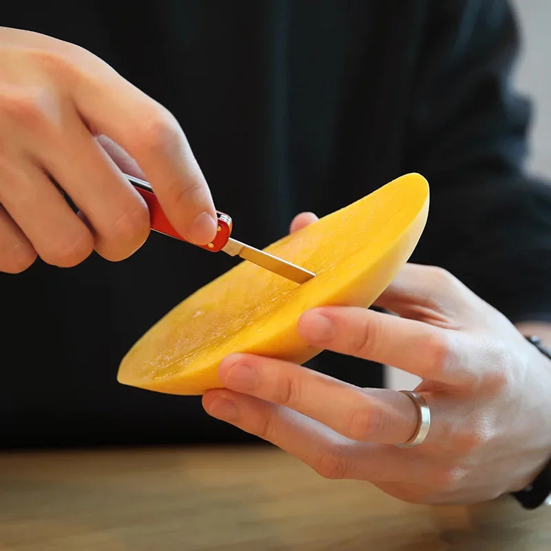 NexTool Mini Folding Multi-Tool: Scissors, Screwdriver & Knife