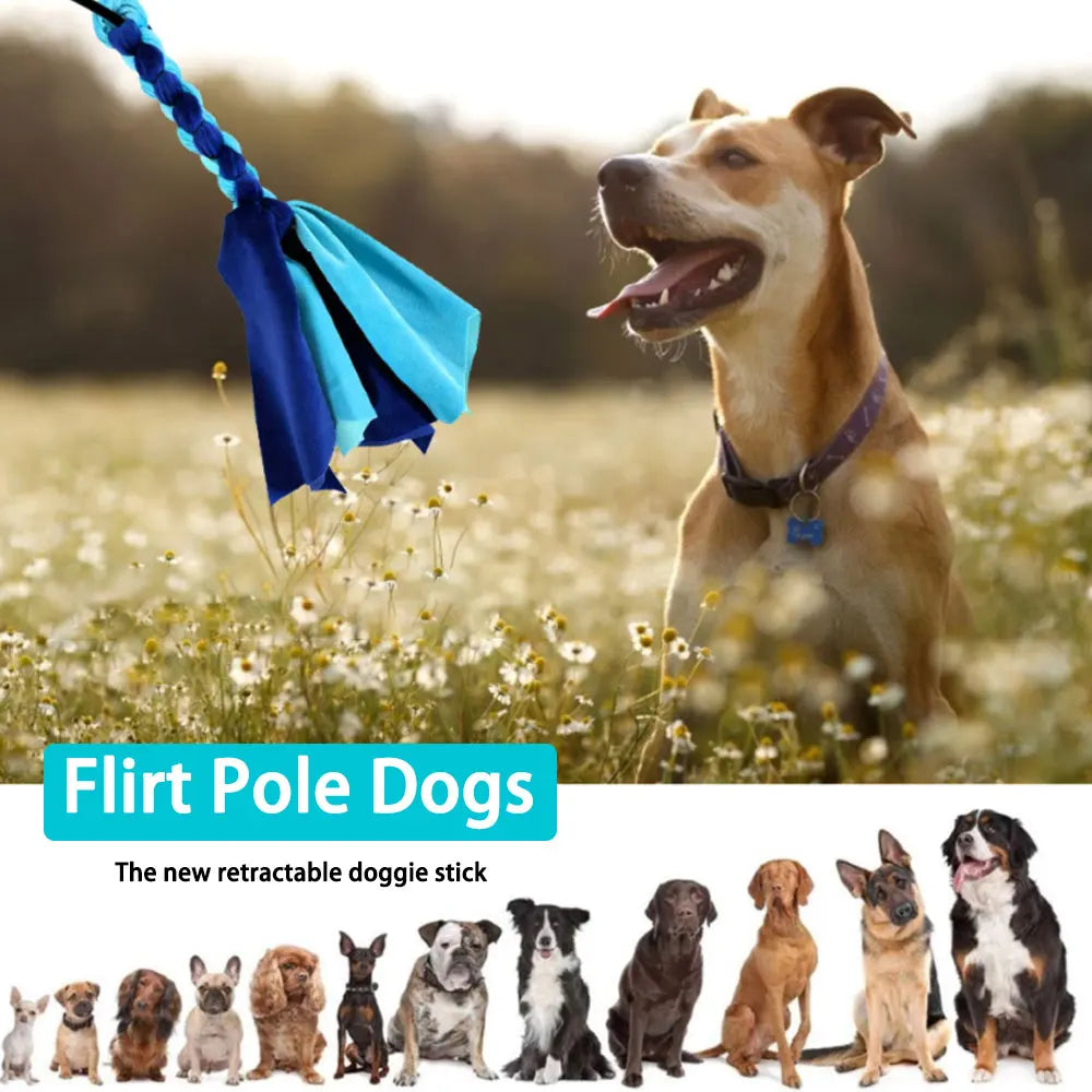 Active Dog Chase Toy - Durable Flirt Pole for Training & Exercise