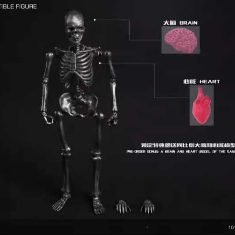 Collectible 1/12 Scale Skull Skeleton Action Figure - Perfect for Hobbyists