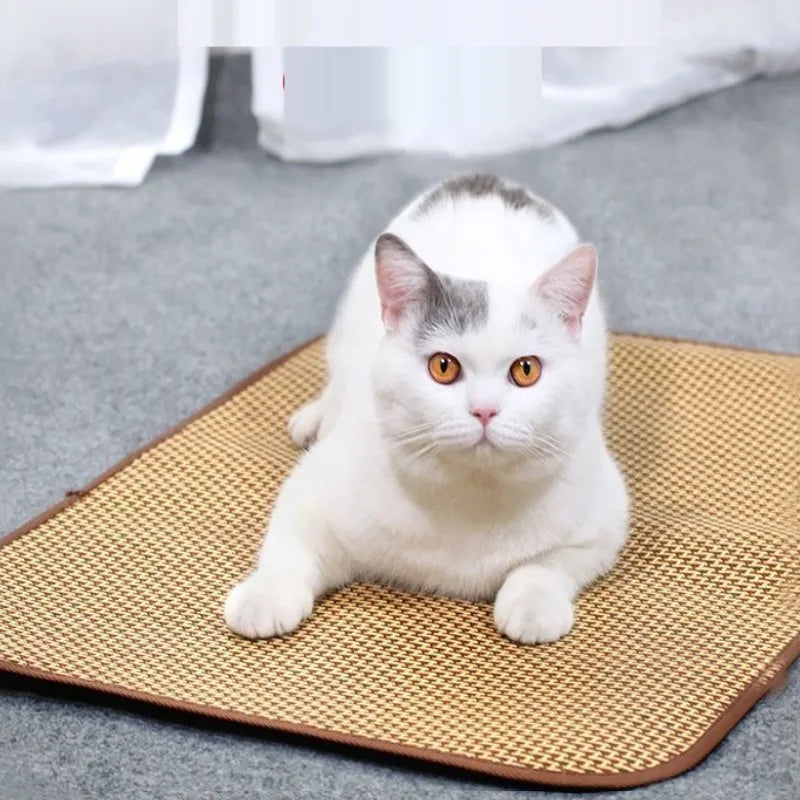 Cooling Dog Mat - Extra Large Bamboo Ice Pad for Pets