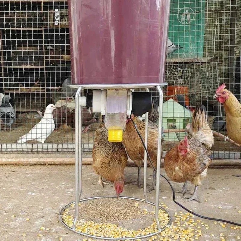 Smart Automatic Chicken Feeder for Pigeons and Ducks - Timed & Efficient