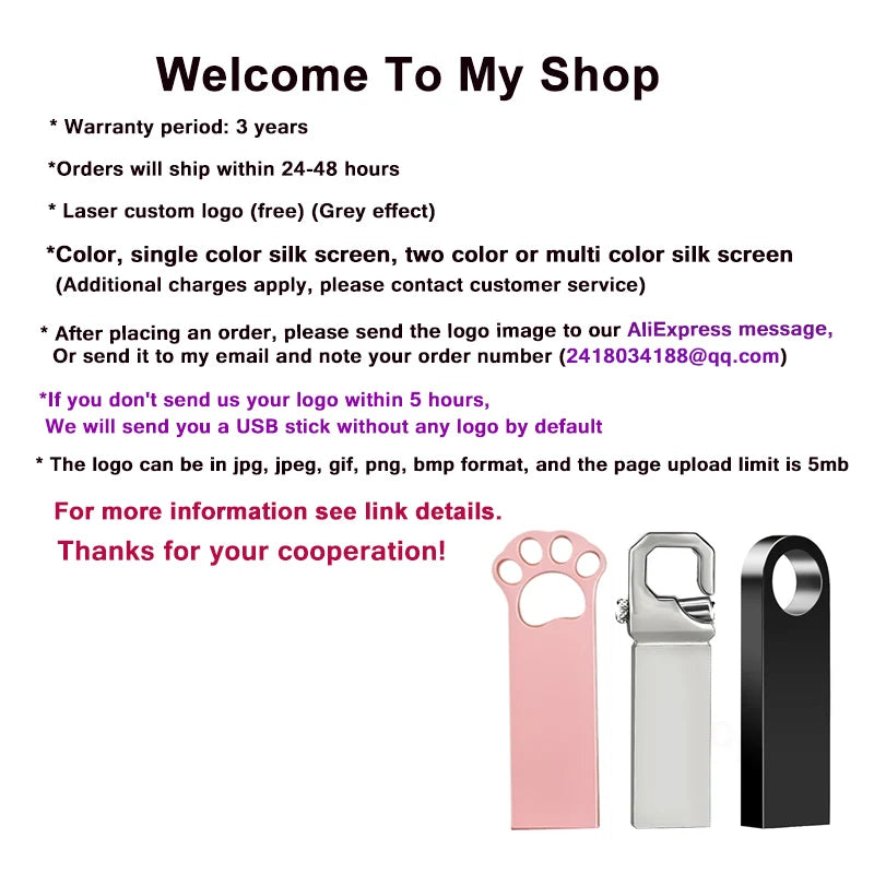 Customized USB Flash Drive – 10PCS, 64GB/32GB/16GB, High Speed