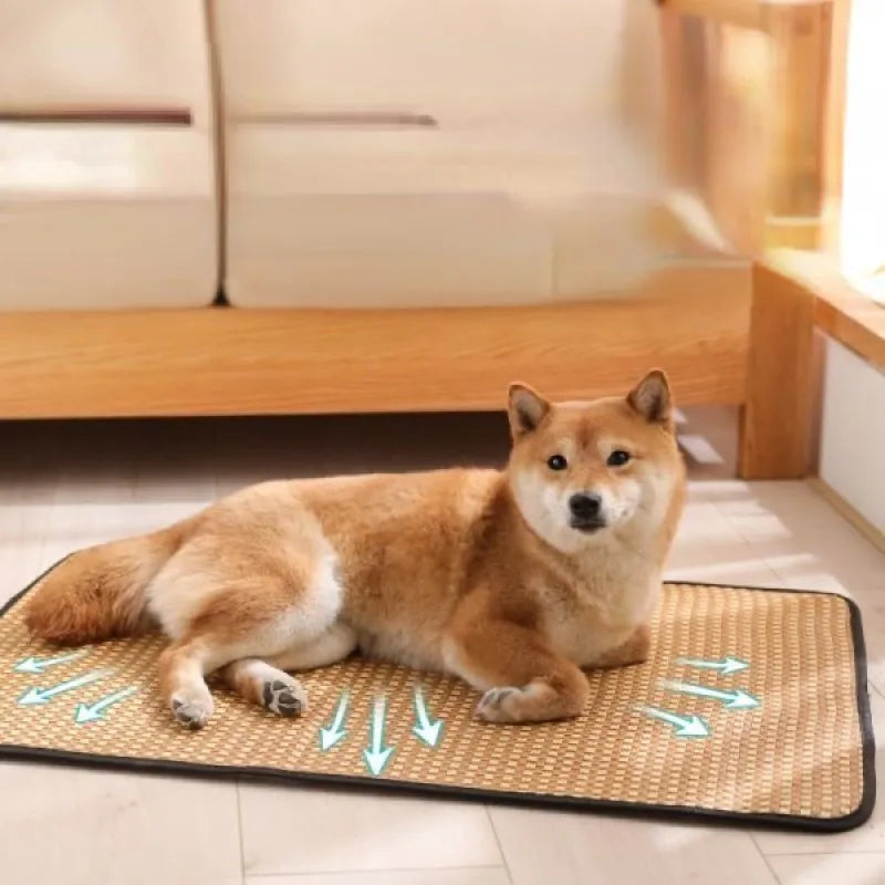 Cooling Dog Mat - Extra Large Bamboo Ice Pad for Pets