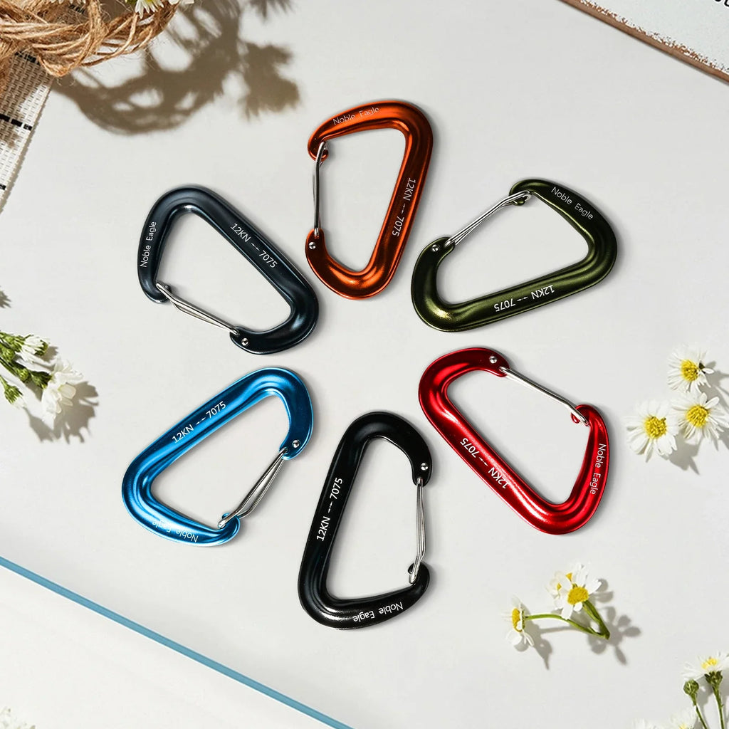 6Pcs Heavy Duty Aluminum Carabiner Set for Camping & Climbing