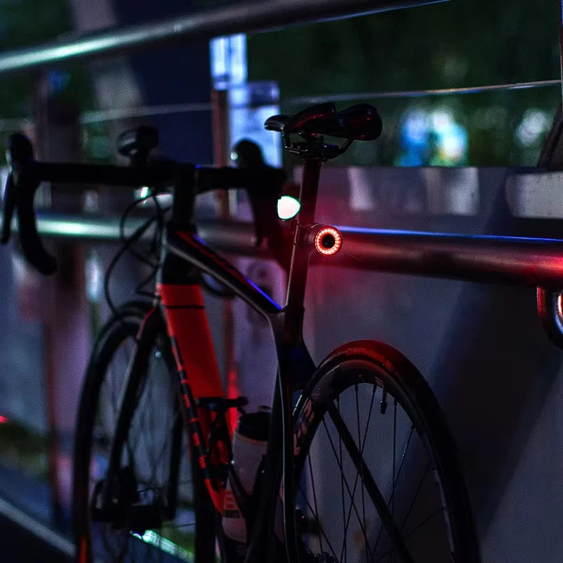 ROCKBROS Smart Brake Bicycle Tail Light - USB Rechargeable & Waterproof