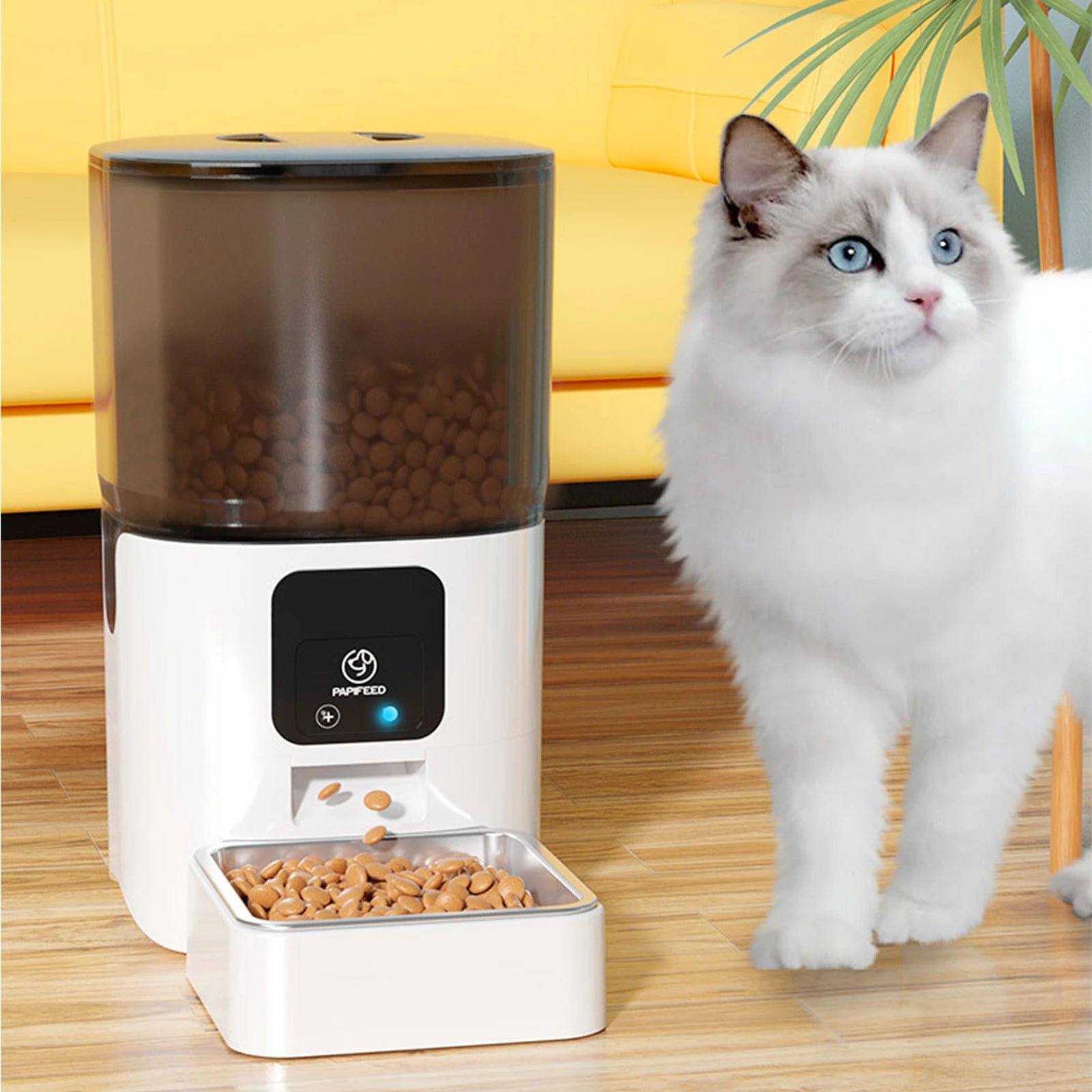 Smart 6L Automatic Cat Feeder with 1080P Camera & APP Control