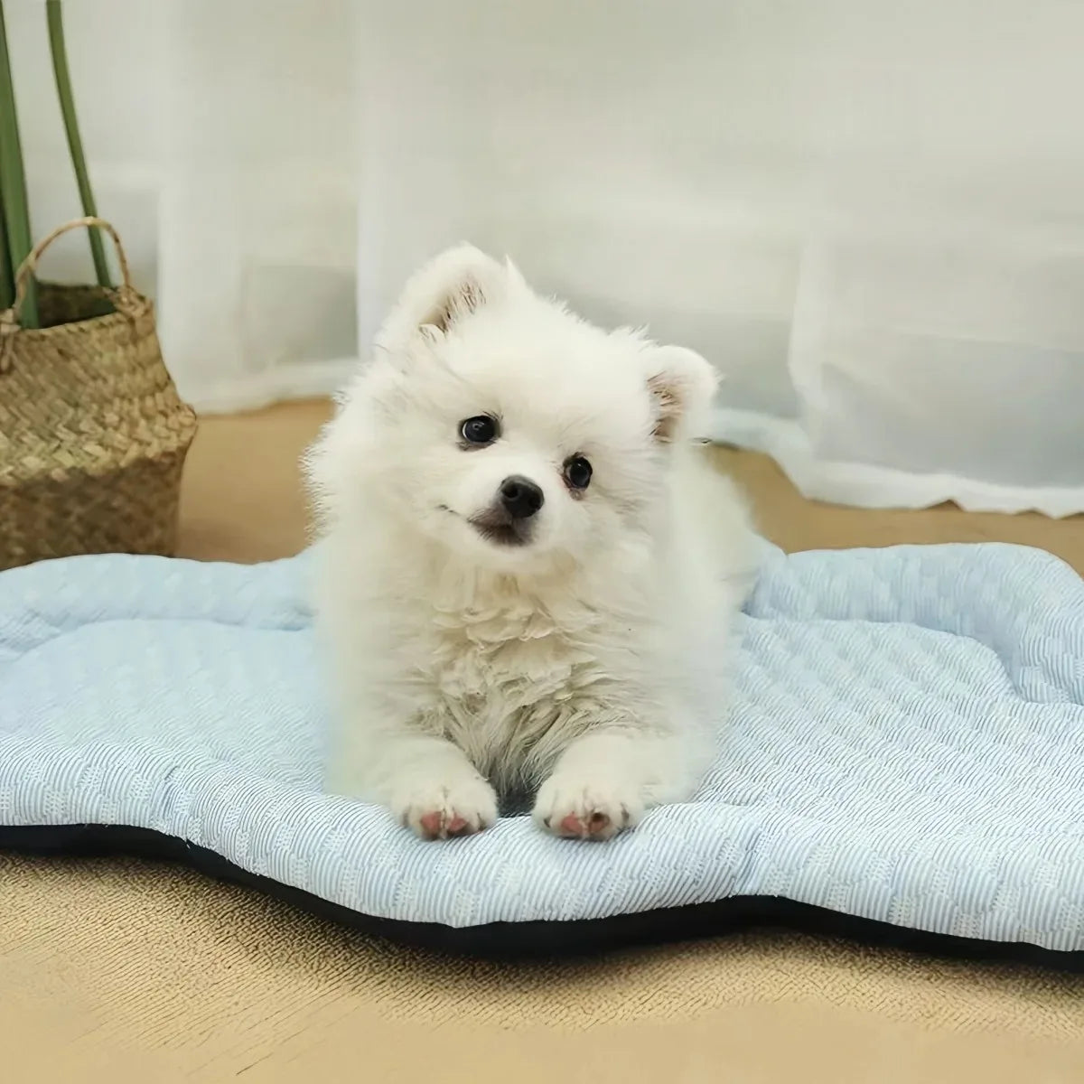 Cooling Mat for Dogs - Summer Pet Bed Accessory for Small Dogs
