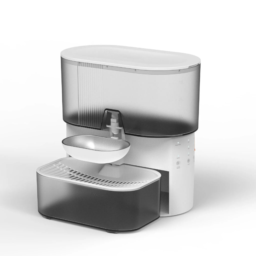 Rechargeable 3L Timed Pet Water Fountain - No Filter, Continuous Fresh Water