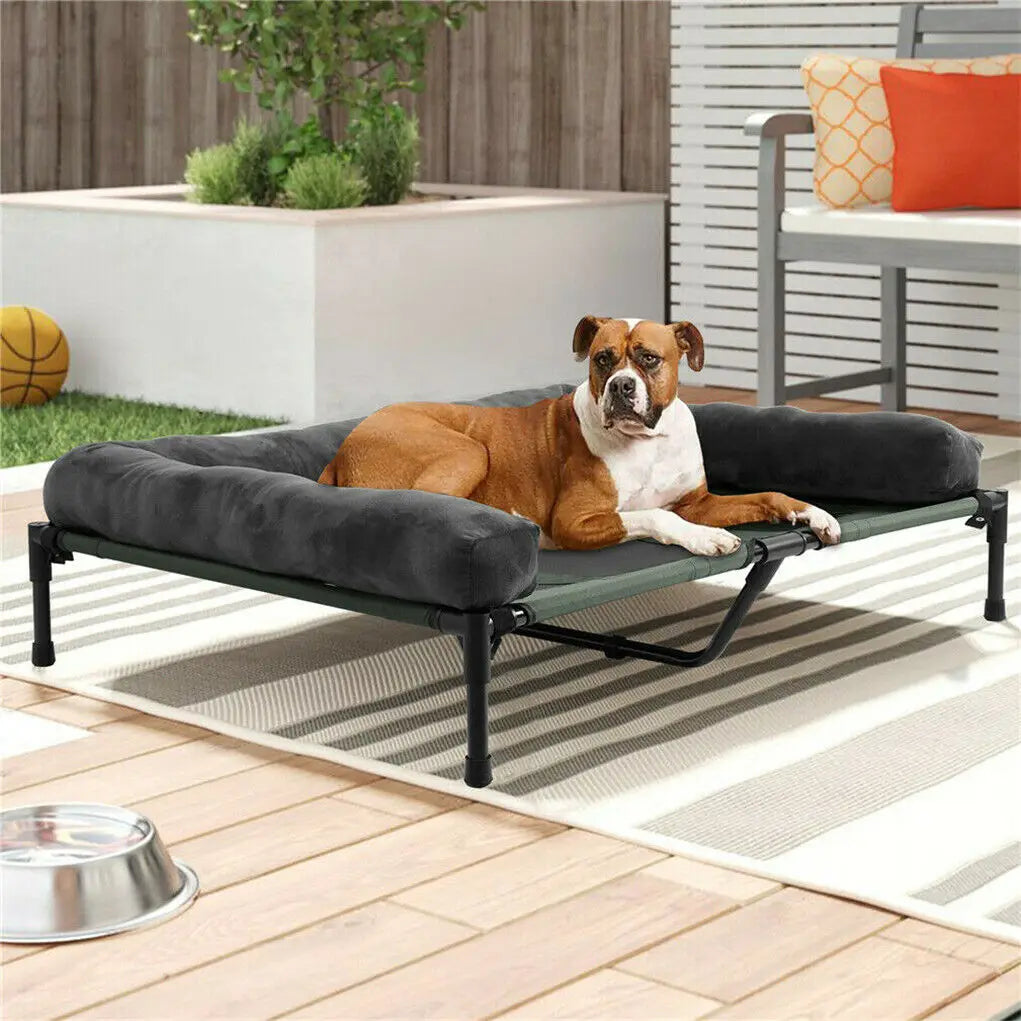 Elevated Pet Lounger Bed with Cozy Bolster - Cooling Comfort for Pets