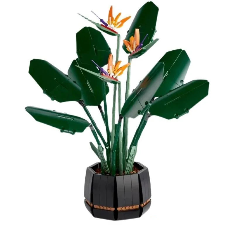 Creative 8-Bouquet Set: Eternal Roses, Orchids & Succulents for Kids