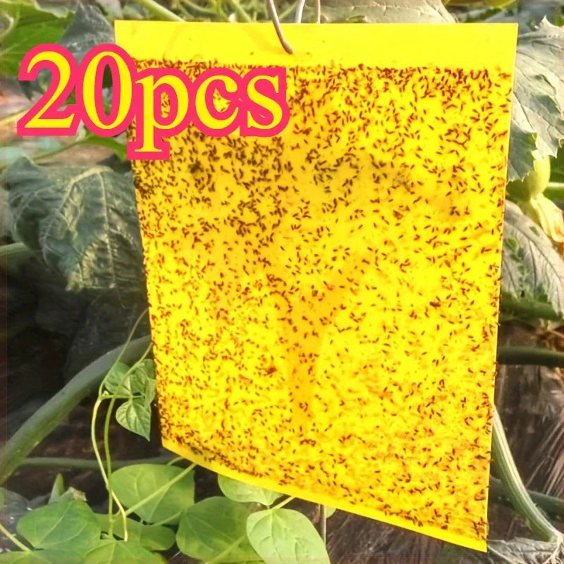 20-Pack Non-Toxic Sticky Traps - Durable Pest Control for Home & Greenhouses
