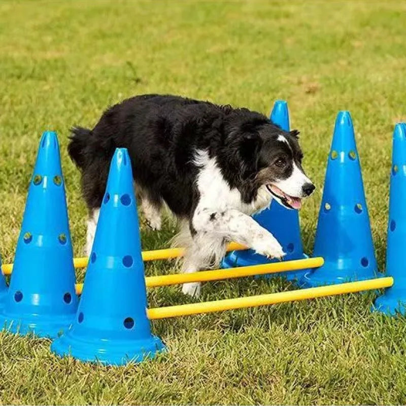 Dog Agility Training Set - Jumping Bar & Obstacle Course Equipment