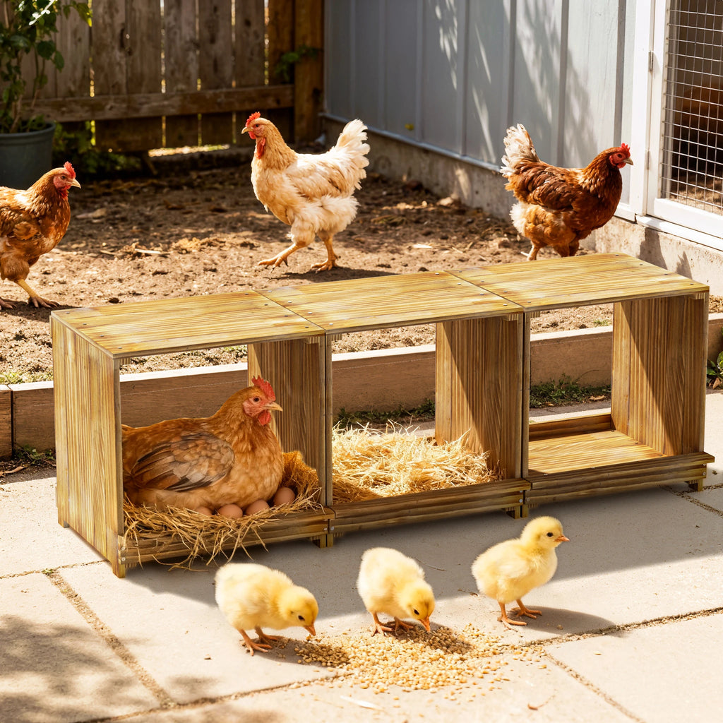 3-Compartment Wooden Nesting Box for Chickens & Ducks - Durable & Flexible