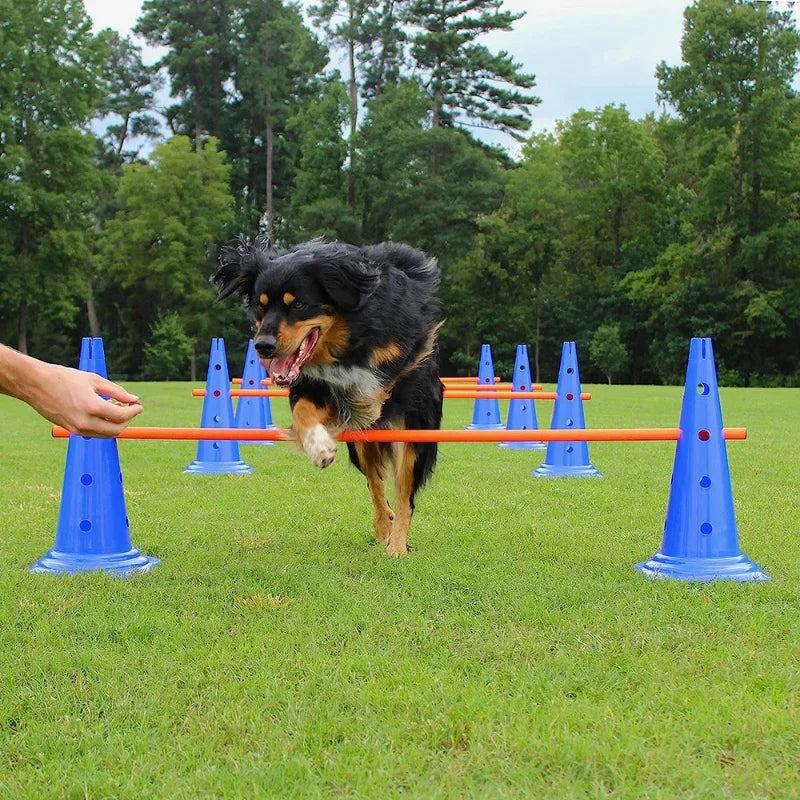 Dog Agility Training Set - Jumping Bar & Obstacle Course Equipment