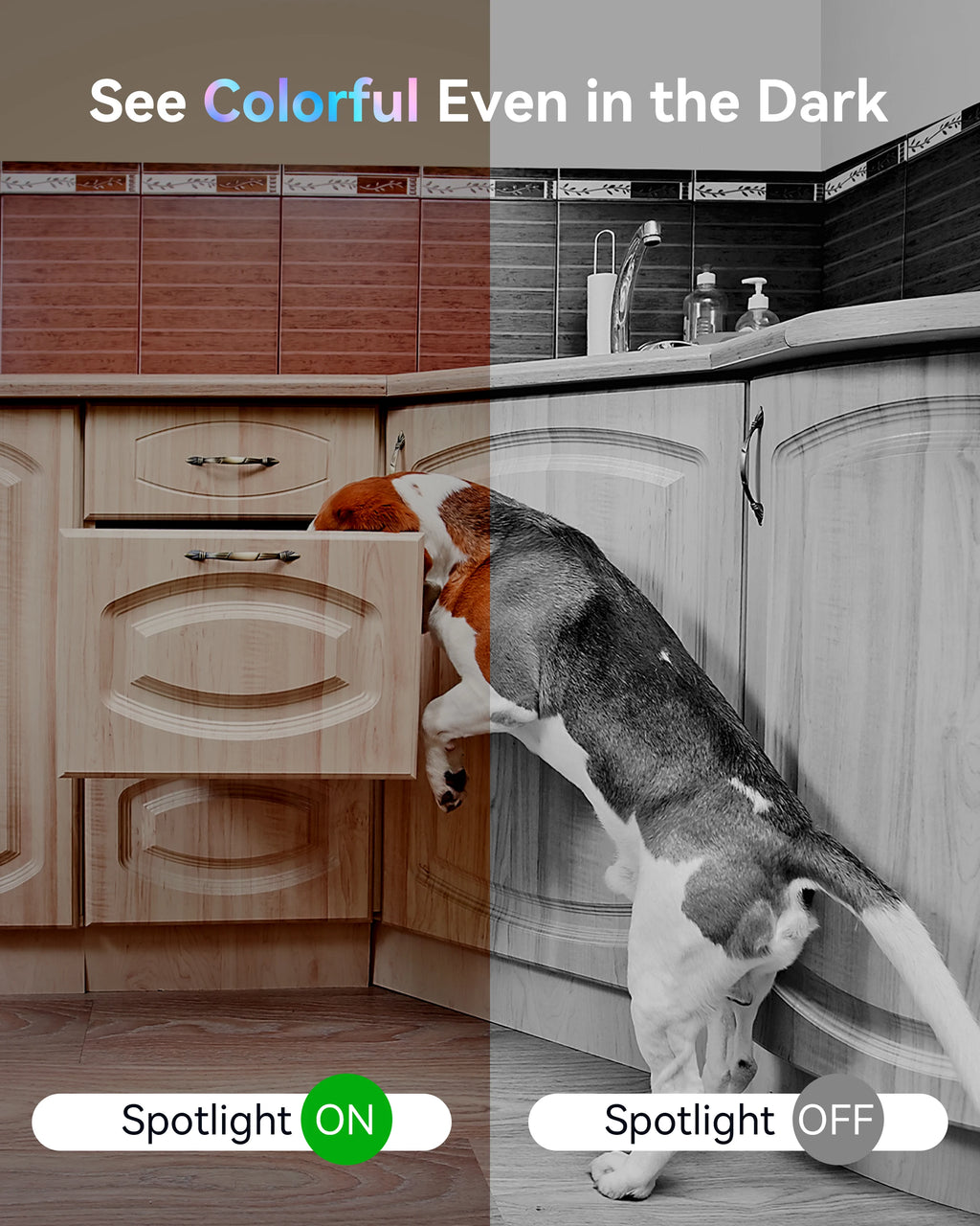 2K Indoor Security Camera with 360° View & Two-Way Audio