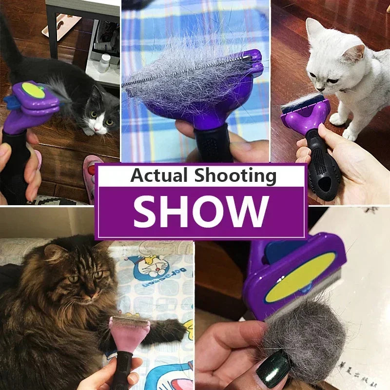 Cat & Dog Hair Removal Comb - Grooming Brush for Shedding Control