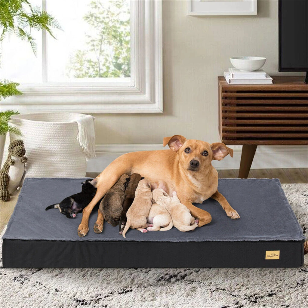 Orthopedic Waterproof Dog Bed - Removable Washable Cover, 2-in-1 Design