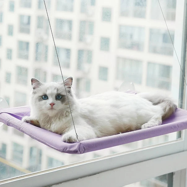 Cat Window Hammock - Washable Suction Shelf Bed for Feline Relaxation