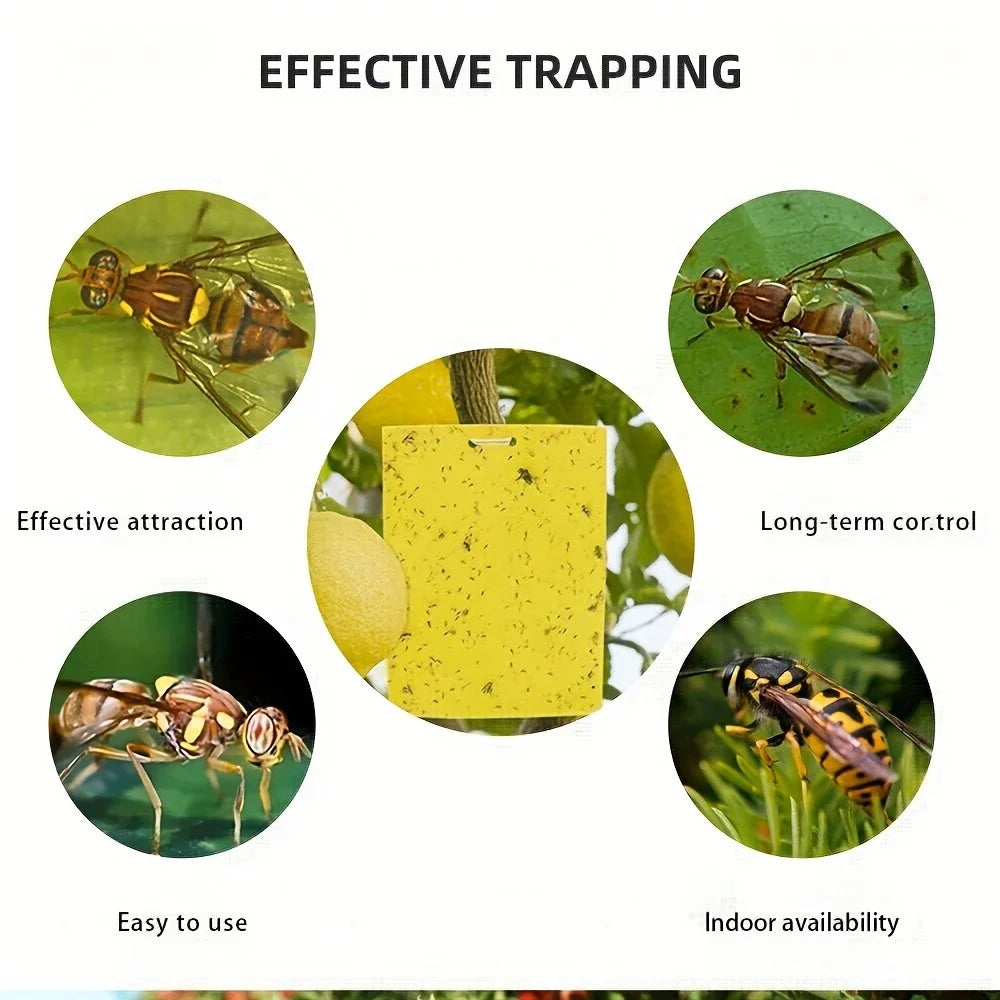 20-Pack Non-Toxic Sticky Traps - Durable Pest Control for Home & Greenhouses